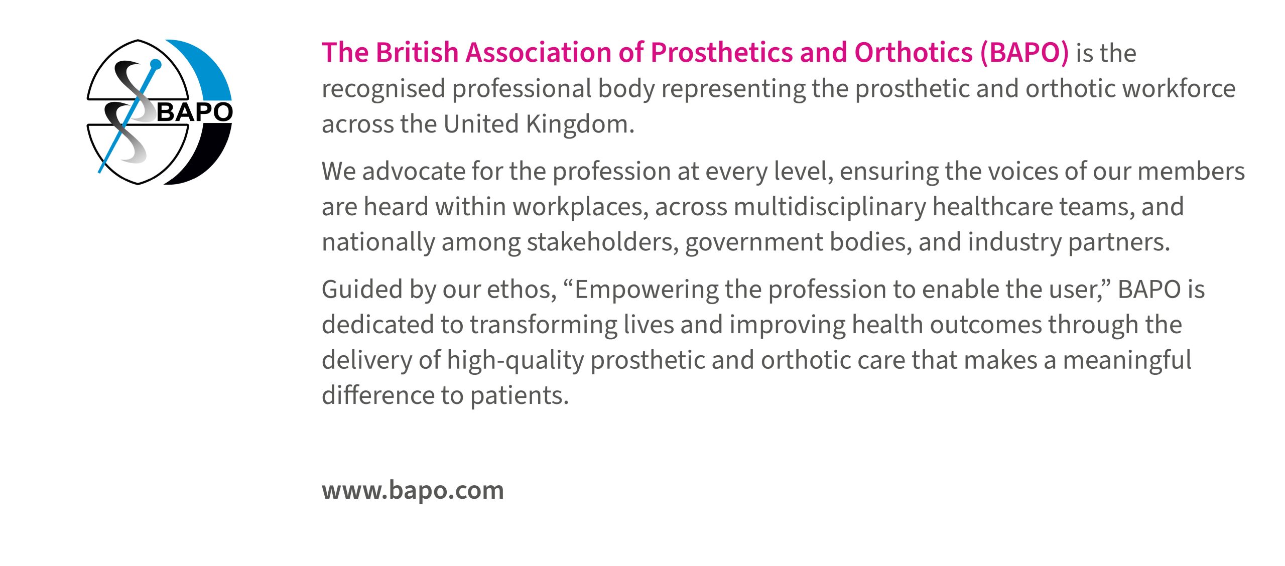 AHA 2026 web banner_sponsor_profile_V2 BAPO